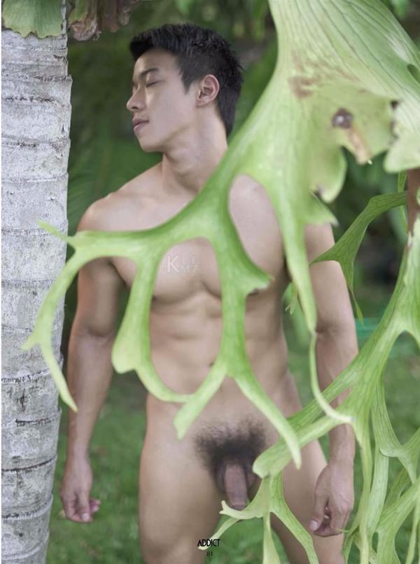 Addict--The-Premium-Issue